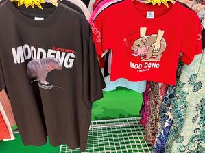 Besonders Moo-Deng-T-Shirts sind ein echter Kassenschlager., © Angelique van Spijk/dpa