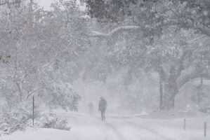 In New Orleans fielen mehr als 20 Zentimeter Schnee., © Gerald Herbert/AP/dpa