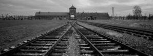 Das ehemalige NS-Vernichtungslager Auschwitz-Birkenau, © Markus Schreiber/AP/dpa