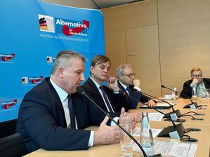 Die AfD-Fraktion kann der aktuellen Debatte viel Positives abgewinnen. , © Jörg Ratzsch/dpa