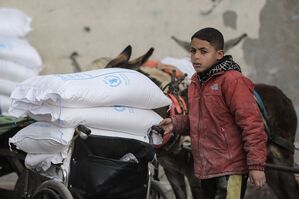 UNRWA verteilt Lebensmittel und betreibt Schulen und Kliniken. (Archivbild), © Mohammed Talatene/dpa