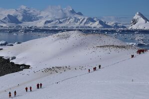 Einige Experten sagen, der Tourismus in der Antarktis müsse stärker reguliert werden., © Anne Hardy/dpa