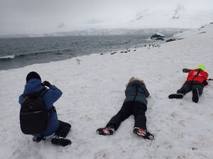 Pinguine so hautnah vor die Linse zu bekommen, reizt die meisten Touristen., © Ricardo Roura/dpa