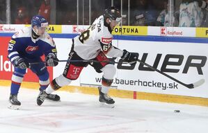 Fabrizio Pilu (r) kämpft im Länderspiel gegen die Slowakei um den Puck, © Ján Krolák/TASR/dpa