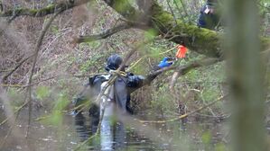 Kurz nach der Leiche der Mutter des Babys wurde die Leiche der Großmutter in einem Teich in der Nähe von Karlsruhe entdeckt. (Archivbild), © René Priebe/dpa